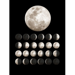 Tapet Moon, Rebel Walls - Img 2