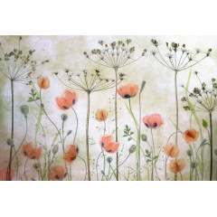 Tapet Poppy Meadow, Rebel Walls - Img 2