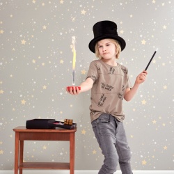 Tapet Twinkle, Mud Grey, Majvillan