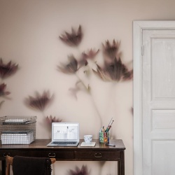 Fototapet, Astrantia, Pink, Rebel Walls - Img 4