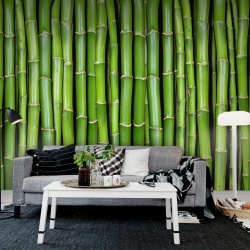 Fototapet, Bamboo, Rebel Walls