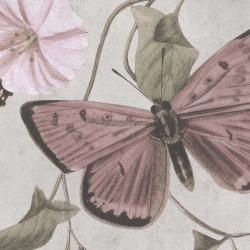 Fototapet, Butterflies, Pastel, Rebel Walls - Img 8