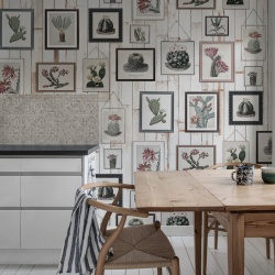 Fototapet, Cactus Wall Art, Faded, Rebel Walls