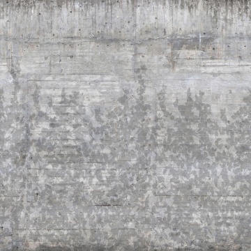 Fototapet, Climbing Clorofyl, Shadow, Rebel Walls - Img 2