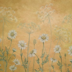 Fototapet Dazzling Daisies - Yellow, Sir Edward - Img 2