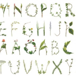Fototapet, Floral Alphabet, Rebel Walls - Img 2