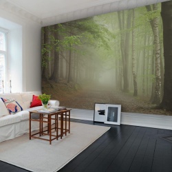Fototapet, Forest Path, Rebel Walls