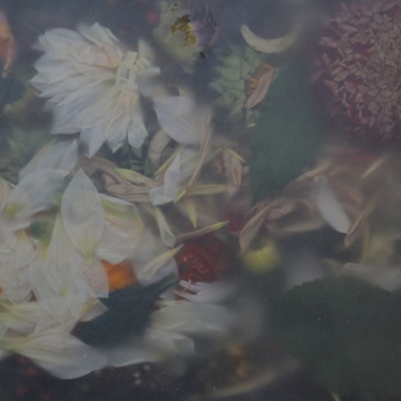 Fototapet, Glossy Flower, Summer, Rebel Walls - Img 2