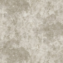 Fototapet, Grapevine Silhouette, Beige, Rebel Walls - Img 5