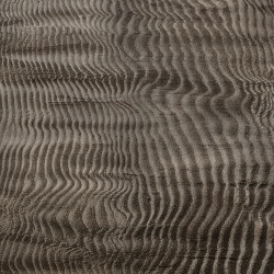 Fototapet Harenae, Silver, Coordonne - Img 2