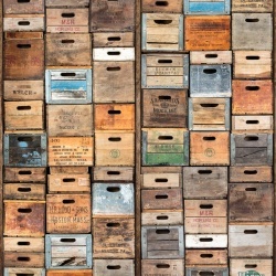 Fototapet, Industriel Urban Farm L.A., Rebel Walls - Img 2
