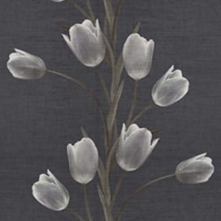 Fototapet, La Vie En Tulipe, Black, Rebel Walls - Img 7