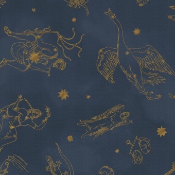 Fototapet lavabil, Constellations 9561W - Img 4