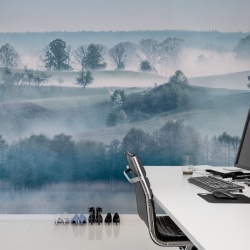 Fototapet, Morning Haze, Rebel Walls - Img 3