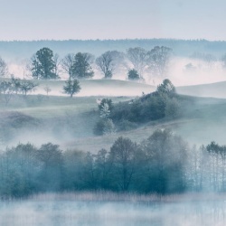 Fototapet, Morning Haze, Rebel Walls - Img 6