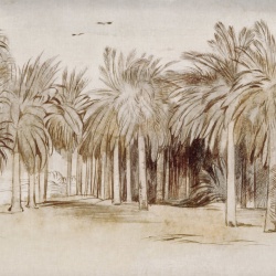Fototapet, Ocean Palms, Beige, Rebel Walls - Img 5