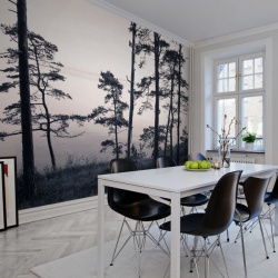 Fototapet, Old Pine Trees, Rebel Walls