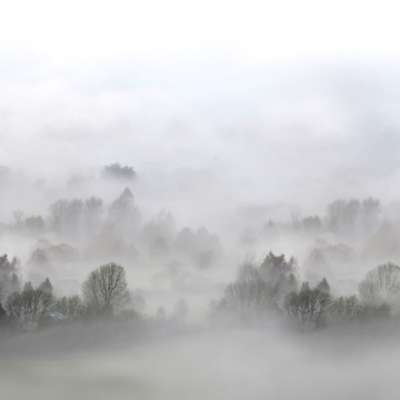 Fototapet personalizat Morning Fog, 248x265cm, Rebel Walls - Img 2