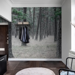 Fototapet, Pine Forest, Rebel Walls - Img 8