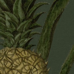 Fototapet, Pineapple, Lush, Rebel Walls - Img 8