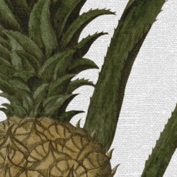 Fototapet, Pineapple, Rebel Walls - Img 4