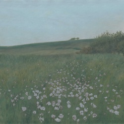 Fototapet, Poppy Landscape, Dusk, Rebel Walls - Img 2