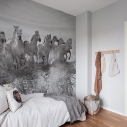 Fototapet, Running Horses, Rebel Walls