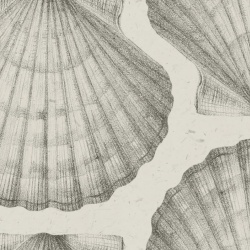 Fototapet, Shells, Sand, Rebel Walls - Img 5