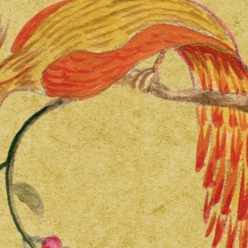 Fototapet, Songbirds, Saffron, Rebel Walls - Img 4