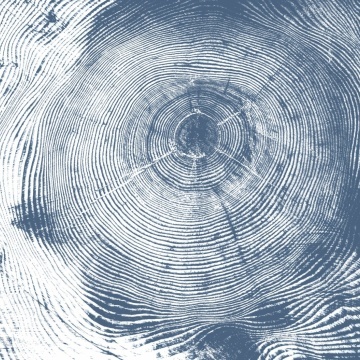 Fototapet, Tree Cut, Blue, Rebel Walls - Img 2