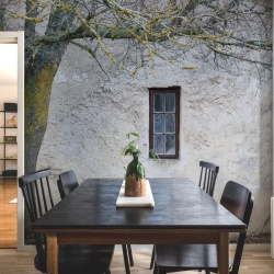 Fototapet, Under The Tree, Rebel Walls