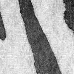 Fototapet, Zebra Stripes, Graphite, Rebel Walls - Img 6