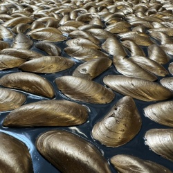 Panou decorativ 3D, Scoici, Dutch Dyke Gold, Dimensiuni Personalizate