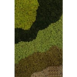 Panou decorativ din muschi, Torvtak Icemoss Mint Green - Img 3