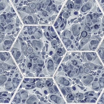 Tapet Marbled Hexagon Tiles, Dark Blue, Rebel Walls, 5 mp / rola - Img 2