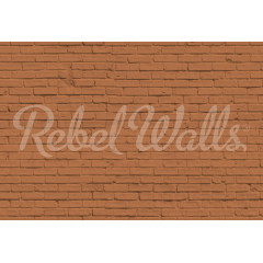 Tapet Wall of Bricks, Terracotta, Rebel Walls - Img 2