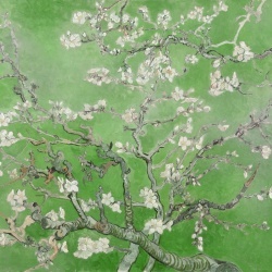 Fototapet, Almond Blossom, Green, Rebel Walls - Img 2
