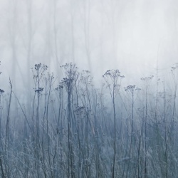 Fototapet, Autumn Haze, Blue, Rebel Walls - Img 5
