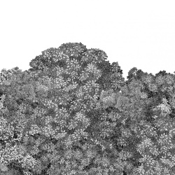 Fototapet, Belle Buisson, Black, Rebel Walls - Img 2