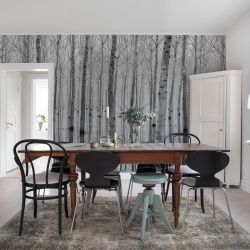 Fototapet, Birch Echo, Rebel Walls