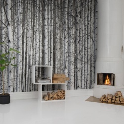 Fototapet, Birch Trunks, Rebel Walls