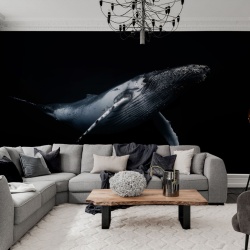 Fototapet, Black Whale, Rebel Walls