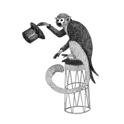 Fototapet, Circus Animal, Mr Monkey, Rebel Walls - Img 5