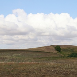 Fototapet, Cropland, Rebel Walls - Img 2