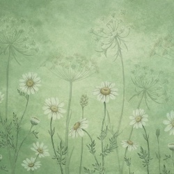 Fototapet Dazzling Daisies - Green, Sir Edward - Img 2