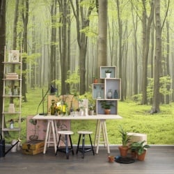 Fototapet, Deciduous Forest, Rebel Walls - Img 10