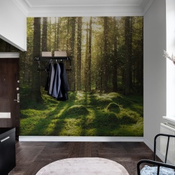 Fototapet, Forest Bath, Rebel Walls - Img 3