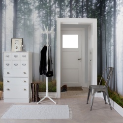 Fototapet, Forest Glade, Rebel Walls