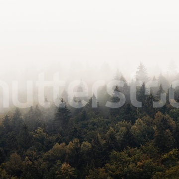 Fototapet, Hazy Hill, Morning, Rebel Walls - Img 2