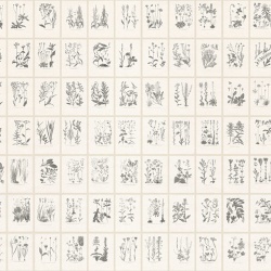 Fototapet lavabil, Botanica, Graphite, Sandberg - Img 2